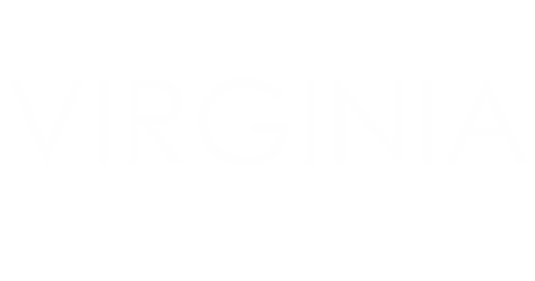 The Virginia Joint & Spine Center website homepage logo